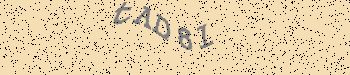 An error has occurred while getting captcha image